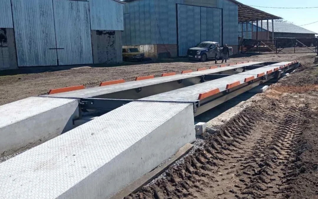Полтавщина обирає якість: встановлено нові автомобільні ваги SCMA - СЦМА КВК